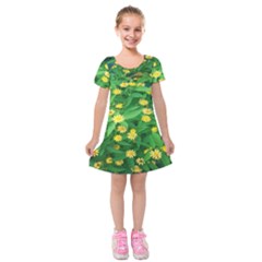 Flower Plant Spring Kids  Short Sleeve Velvet Dress