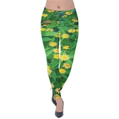 Flower Plant Spring Velvet Leggings by artworkshop