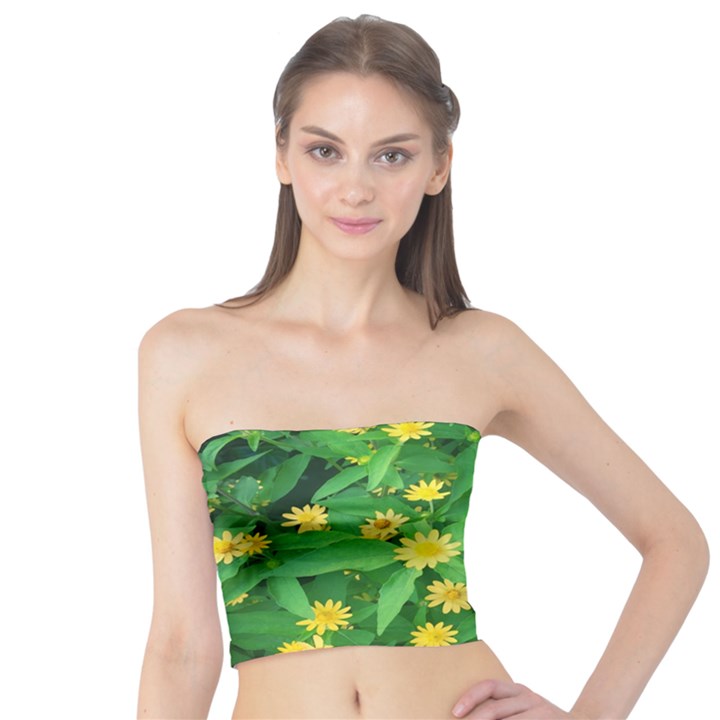 Flower Plant Spring Tube Top