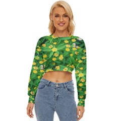 Flower Plant Spring Lightweight Long Sleeve Sweatshirt by artworkshop