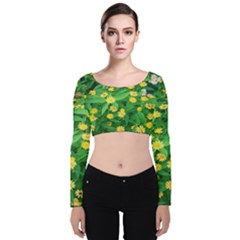 Flower Plant Spring Velvet Long Sleeve Crop Top by artworkshop