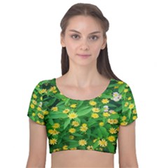 Flower Plant Spring Velvet Short Sleeve Crop Top  by artworkshop