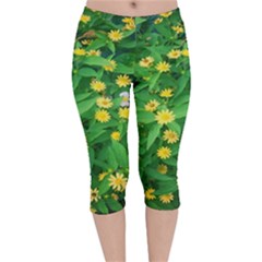 Flower Plant Spring Velvet Capri Leggings  by artworkshop