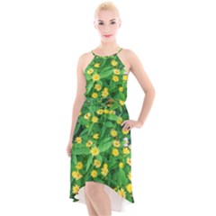 Flower Plant Spring High-low Halter Chiffon Dress  by artworkshop