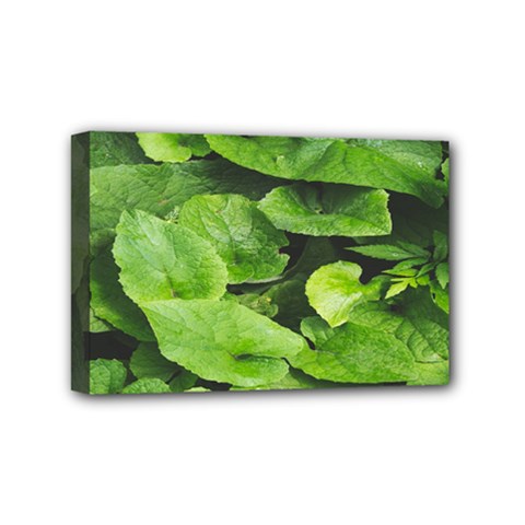 Layered Plant Leaves Iphone Wallpaper Mini Canvas 6  X 4  (stretched) by artworkshop