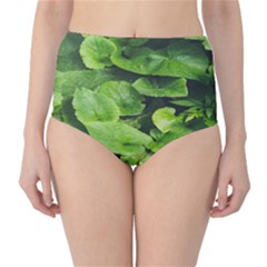 Layered Plant Leaves Iphone Wallpaper Classic High-waist Bikini Bottoms by artworkshop