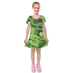 Layered Plant Leaves Iphone Wallpaper Kids  Short Sleeve Velvet Dress by artworkshop