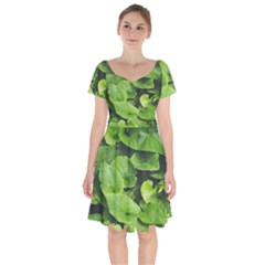 Layered Plant Leaves Iphone Wallpaper Short Sleeve Bardot Dress by artworkshop