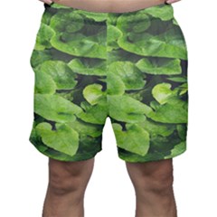 Layered Plant Leaves Iphone Wallpaper Men s Shorts