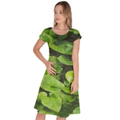 Layered Plant Leaves Iphone Wallpaper Classic Short Sleeve Dress by artworkshop