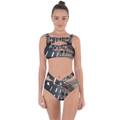 Leading Lines A Holey Walls Bandaged Up Bikini Set  by artworkshop