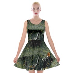 Astronaut Lying In Flowers Fantasy Velvet Skater Dress by artworkshop