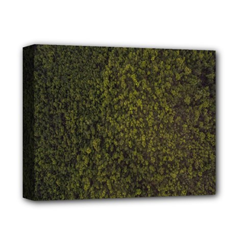 Green Grunge Background Deluxe Canvas 14  X 11  (stretched) by artworkshop