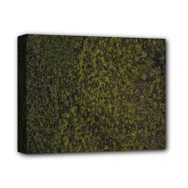 Green Grunge Background Deluxe Canvas 14  x 11  (Stretched)