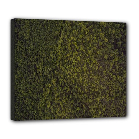 Green Grunge Background Deluxe Canvas 24  X 20  (stretched) by artworkshop