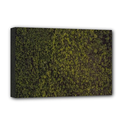 Green Grunge Background Deluxe Canvas 18  X 12  (stretched) by artworkshop