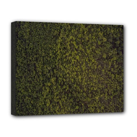 Green Grunge Background Deluxe Canvas 20  X 16  (stretched) by artworkshop