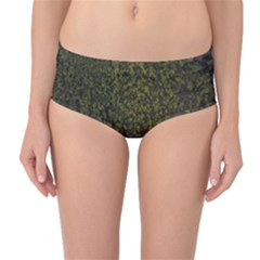 Green Grunge Background Mid-waist Bikini Bottoms by artworkshop