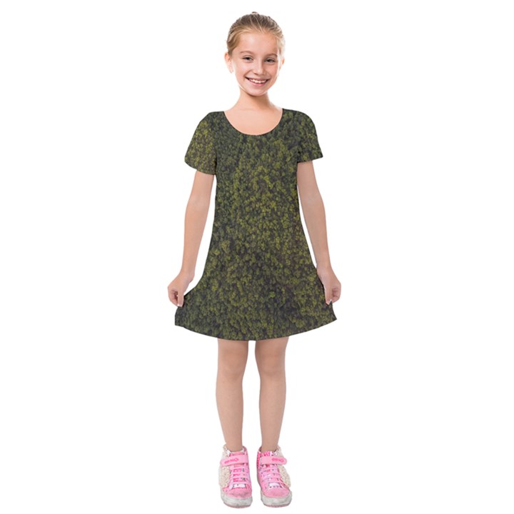 Green Grunge Background Kids  Short Sleeve Velvet Dress