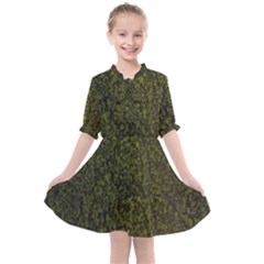 Green Grunge Background Kids  All Frills Chiffon Dress by artworkshop