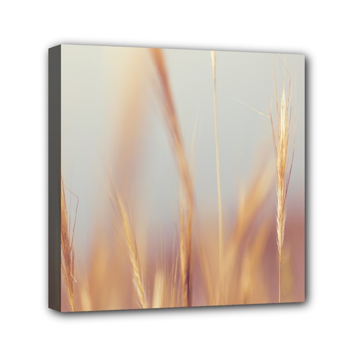 Nature Plants Color Mini Canvas 6  x 6  (Stretched)