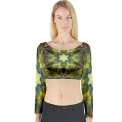 Fractal-fantasy-design-background- Long Sleeve Crop Top by Vaneshart