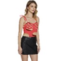 Stackable Chips In Lines Flowy Camisole Tie Up Top View3