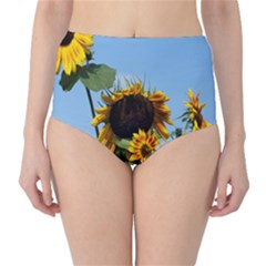 Sunflower Flower Yellow Classic High-waist Bikini Bottoms by artworkshop