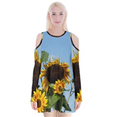 Sunflower Flower Yellow Velvet Long Sleeve Shoulder Cutout Dress by artworkshop