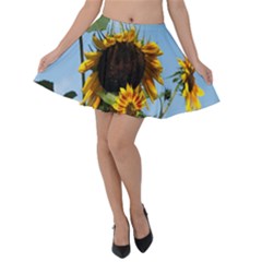 Sunflower Flower Yellow Velvet Skater Skirt by artworkshop