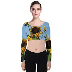 Sunflower Flower Yellow Velvet Long Sleeve Crop Top by artworkshop