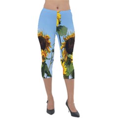 Sunflower Flower Yellow Lightweight Velour Capri Leggings 