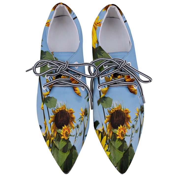 Sunflower Flower Yellow Pointed Oxford Shoes