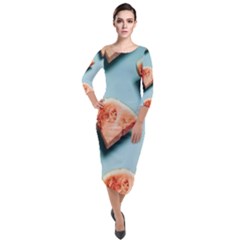 Watermelon Against Blue Surface Pattern Quarter Sleeve Midi Velour Bodycon Dress by artworkshop