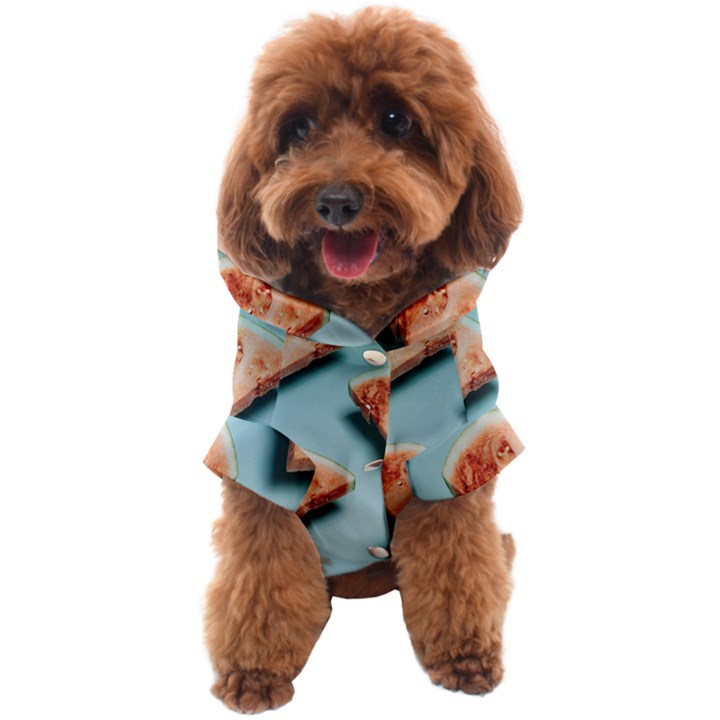 Watermelon Against Blue Surface Pattern Dog Coat