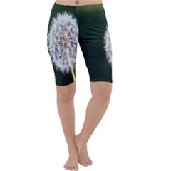 White Flower Cropped Leggings  by artworkshop