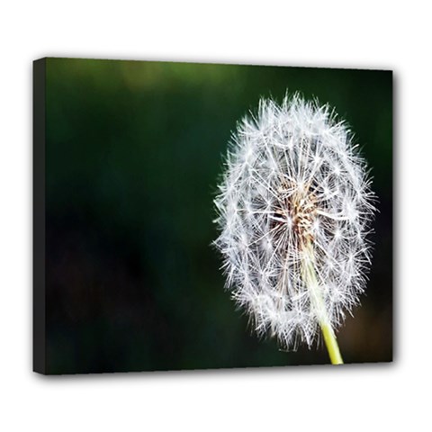 White Flower Deluxe Canvas 24  X 20  (stretched) by artworkshop