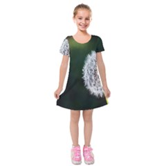 White Flower Kids  Short Sleeve Velvet Dress by artworkshop