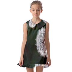 White Flower Kids  Pilgrim Collar Ruffle Hem Dress