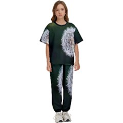 White Flower Kids  Tee And Pants Sports Set