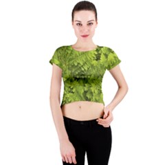 Botanical Motif Plants Detail Photography Crew Neck Crop Top by dflcprintsclothing