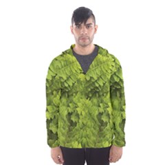 Botanical Motif Plants Detail Photography Men s Hooded Windbreaker by dflcprintsclothing