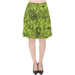 Botanical Motif Plants Detail Photography Velvet High Waist Skirt by dflcprintsclothing