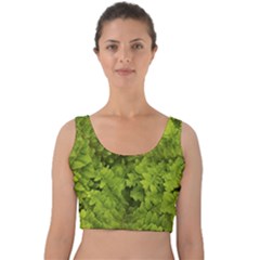 Botanical Motif Plants Detail Photography Velvet Crop Top by dflcprintsclothing