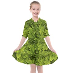 Botanical Motif Plants Detail Photography Kids  All Frills Chiffon Dress by dflcprintsclothing