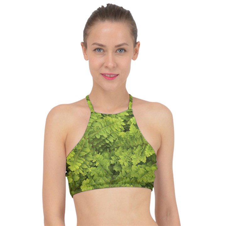 Botanical Motif Plants Detail Photography Racer Front Bikini Top