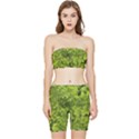 Botanical Motif Plants Detail Photography Stretch Shorts and Tube Top Set View1