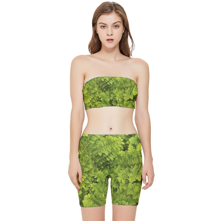 Botanical Motif Plants Detail Photography Stretch Shorts and Tube Top Set