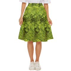 Botanical Motif Plants Detail Photography Classic Short Skirt by dflcprintsclothing