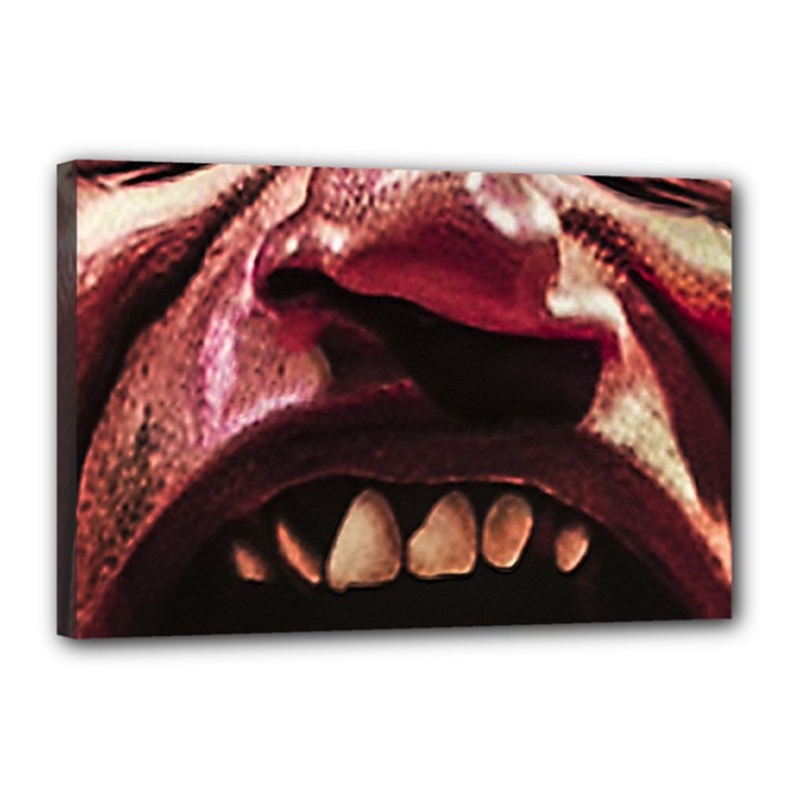 Scary Man Closeup Portrait Illustration Canvas 18  x 12  (Stretched)